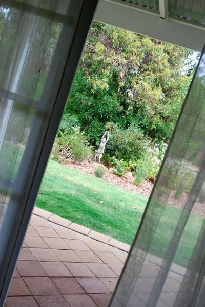 Llewellin'S Guest House Margaret River Екстериор снимка